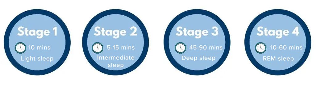 Four stages of sleep