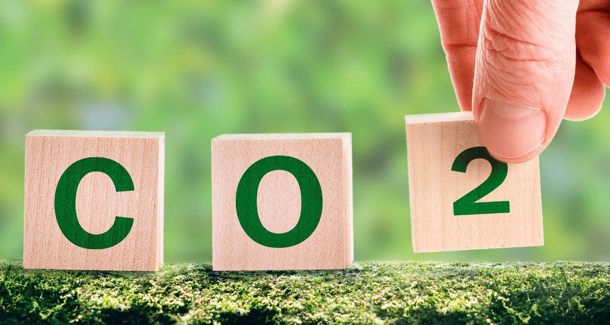 CO2 Reduction In Slipper Socks Manufacturing Process